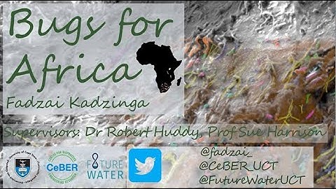 Microbial treatment of mining wastewater - Fadzai Kadzinga