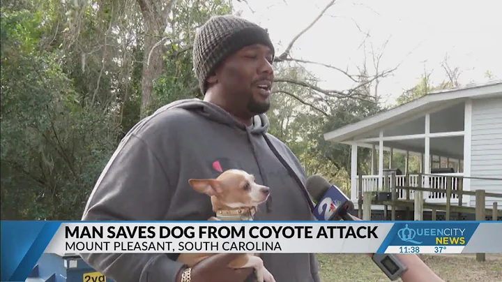 S.C. man saves dog from coyote