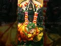ஸ்ரீ மகா சரபேஸ்வரர் பாடல் | Sri Sarabeswarar Bhagavan Padal #sarabeshwarar #omnamashivaya #eswara