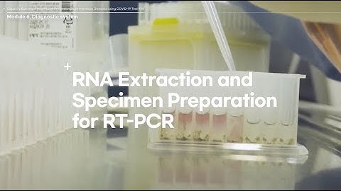 [KOICA-Yonsei COVID-19] Module Ⅵ - 2 RNA Extraction and Specimen Preparation for RT-PCR