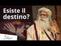 Esiste il destino? | Sadhguru Italiano