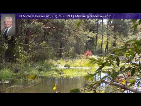 2400 Farm to Market Road, Johnson City, NY home video tour
