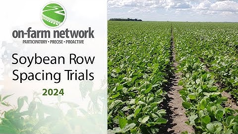 Soybean Row Spacing - 2024 On-Farm Network Results