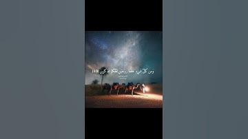 سورة النازعات بصوت الشيخ سعود الشريم( والسماء بنيناها بأيد وإنا لموسعون )
