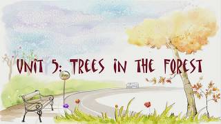 Unit 05: TREES IN THE FOREST - Listening Practice Through Dictation 1