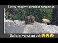 Zawng No Pawm Ka Nang Hman Safia Nupa In Vahui An Veh Kan Zoram Ngaw Leh A Chhunga Chengte Nikonp900 Zawng No Pawm Ka Nang Hman Safia Nupa In Vahui An Veh Kan Zoram Ngaw Leh A Chhunga Chengte Nikonp900