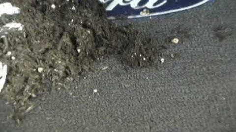 Classic Loop Custom Fit Automotive Floor Mats