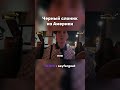 Наш слоник из Америки #sayfergoat #twitchmoments #twitch