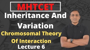 Inheritance and Variation | Chromosomal Theory Of Inheritance | L-6 | MHTCET | Class12 | By JD Sir