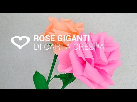 Tutorial: Come realizzare delle rose giganti di carta crespa - La Figurina