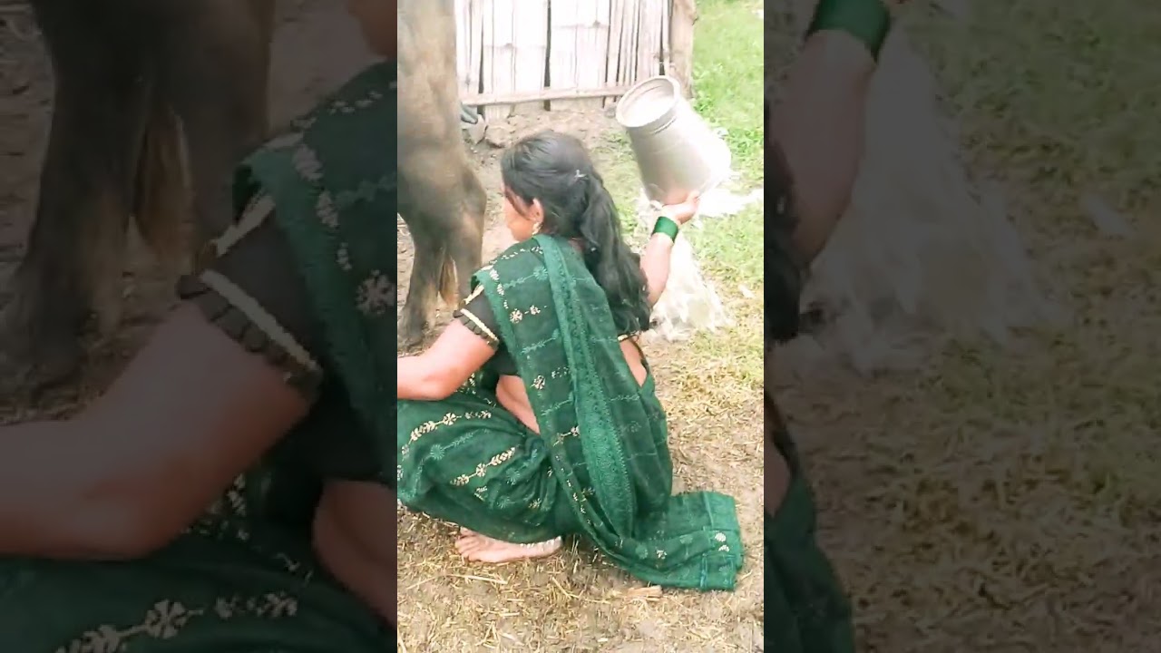 @shfa2 😭🙏🙏👍@shfa2 #