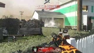 Black Ops - triple kill with concussion grenade