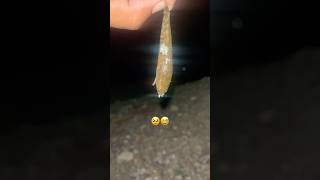 Fish Baby Boy Crying Emotional Moment Viral Video 2025