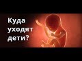 Аборты Куда уходят дети?