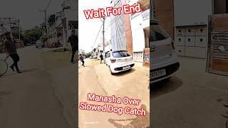 Manasha Over Slowed Dog Catch #dog #catch #streetdogrevival #pets #ytviral #shorts #animals #dogs