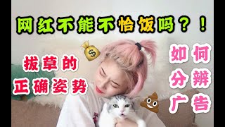 【Veggie】如何分辨网红的恰饭广告?吃安利后 拔草的正确姿势?