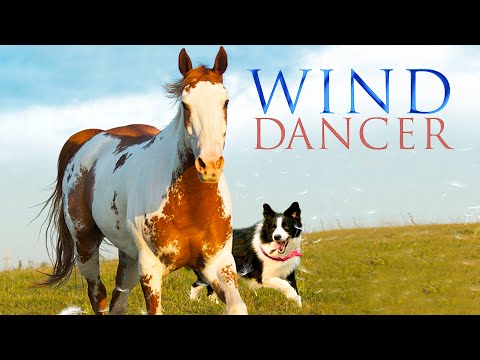 WIND DANCER | A HISTÓRIA DE AMOR QUE TRANSFORMA VIDAS