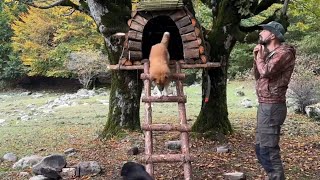 Dog’s Amazing Treehouse Adventure 🐶🌳 | Cute Cabin in the Woods #viralvideo