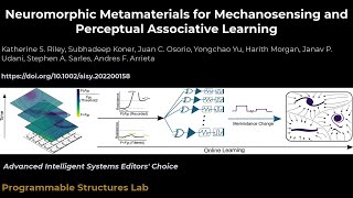 Neuromorphic Metamaterials For Mechanosensing And Perceptual Associative Learning
