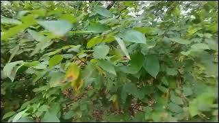 Моя московская осень 🍂