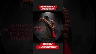 100./. MONEY BACK GUARANTEE NEPALI RUDRAKSHA 1 TO 21 FACE    #rudraksha #youtubeshorts #1m