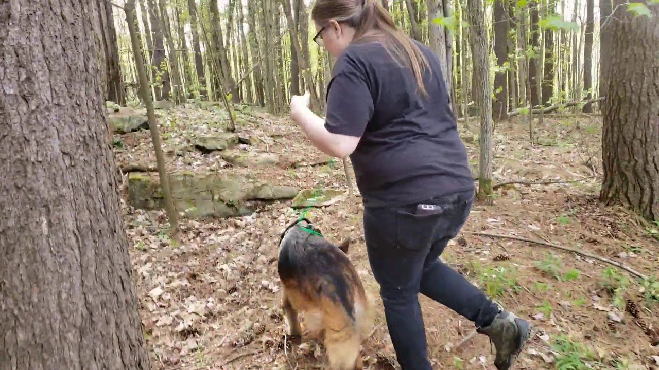 Blaze or Bust - Canasthetic