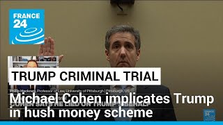Michael Cohen takes the stand at the Trump 'Hush Money' trial • FRANCE 24 English