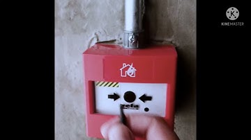 HOW TO RESET Manual Call Point #firealarm #how #technology #firealarmsystem #alarm #youtubeshorts