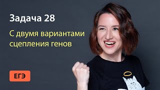 Задача 28 с двумя вариантами сцепления генов из ЕГЭ по биологии | ЕГЭ-2024 по биологии