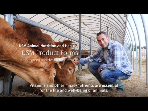 DSM Product Forms: Quality feed additives for more sustainable farming