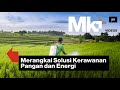 Merangkai Solusi Kerawanan Pangan dan Energi