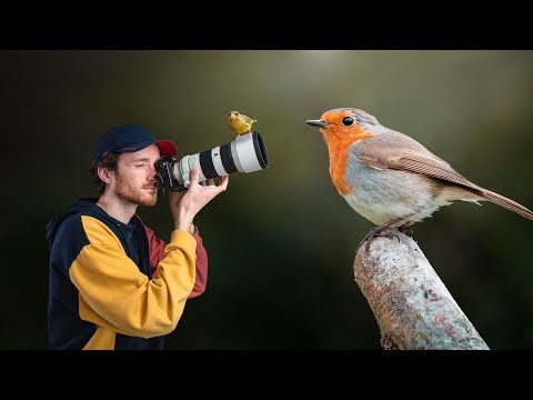 Vidéo: Beaux chemins dans le jardin : options avec photos