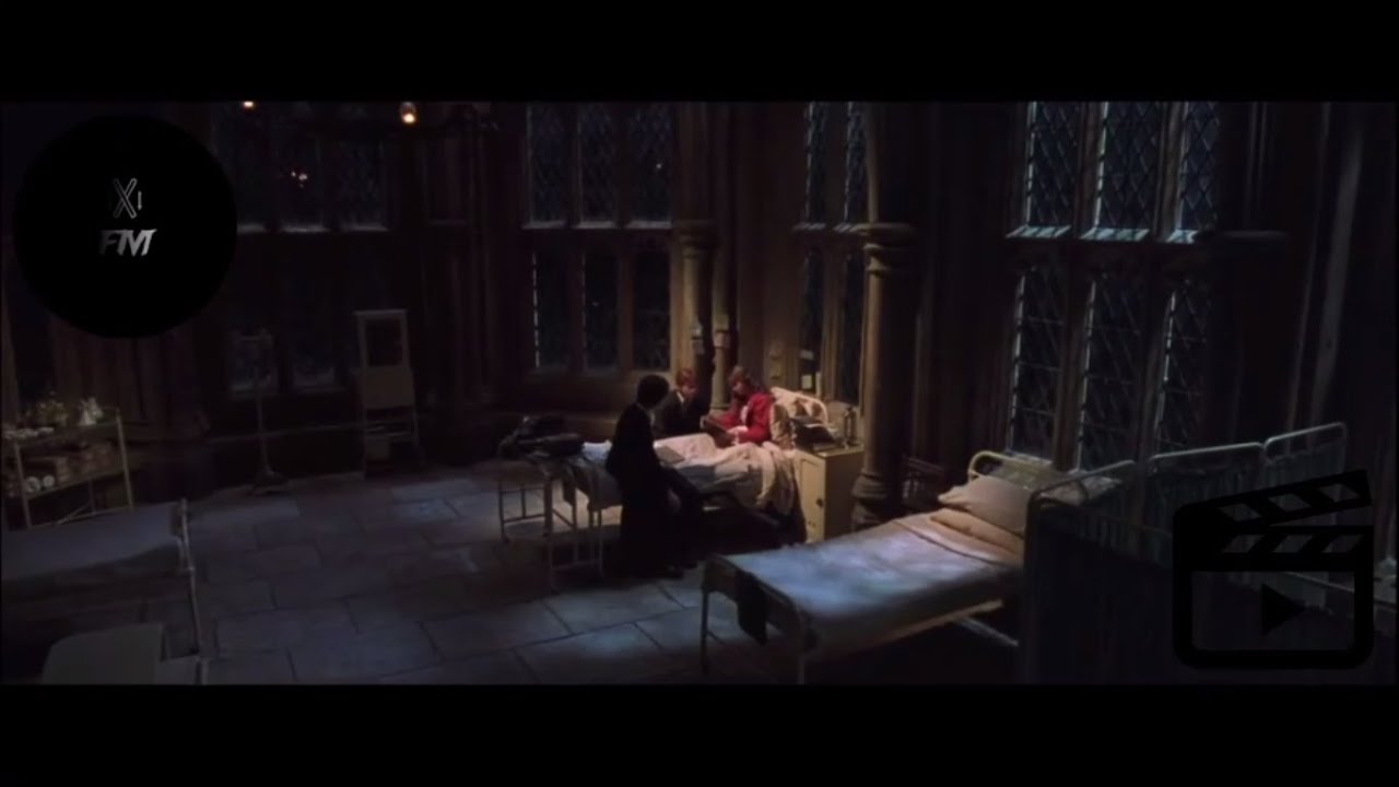 Harry Potter E La Camera Dei Segreti Tom Riddle