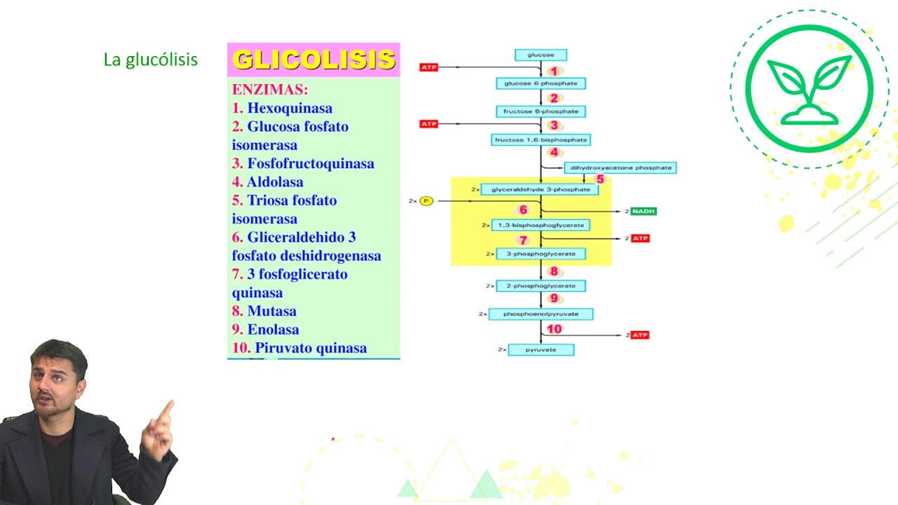 Biología -
