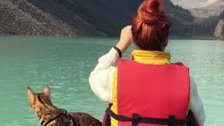 Lake Louise Canoe Ride With A Cat by Suki Cat 6,039 views 6 years ago 1 minute, 1 second