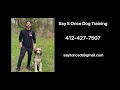 Pittsburgh Dog Whisperer: Say It Once Dog Training