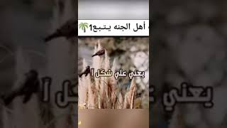 اهل الجنه ⁦️⁩⁦️⁩⁦️⁩