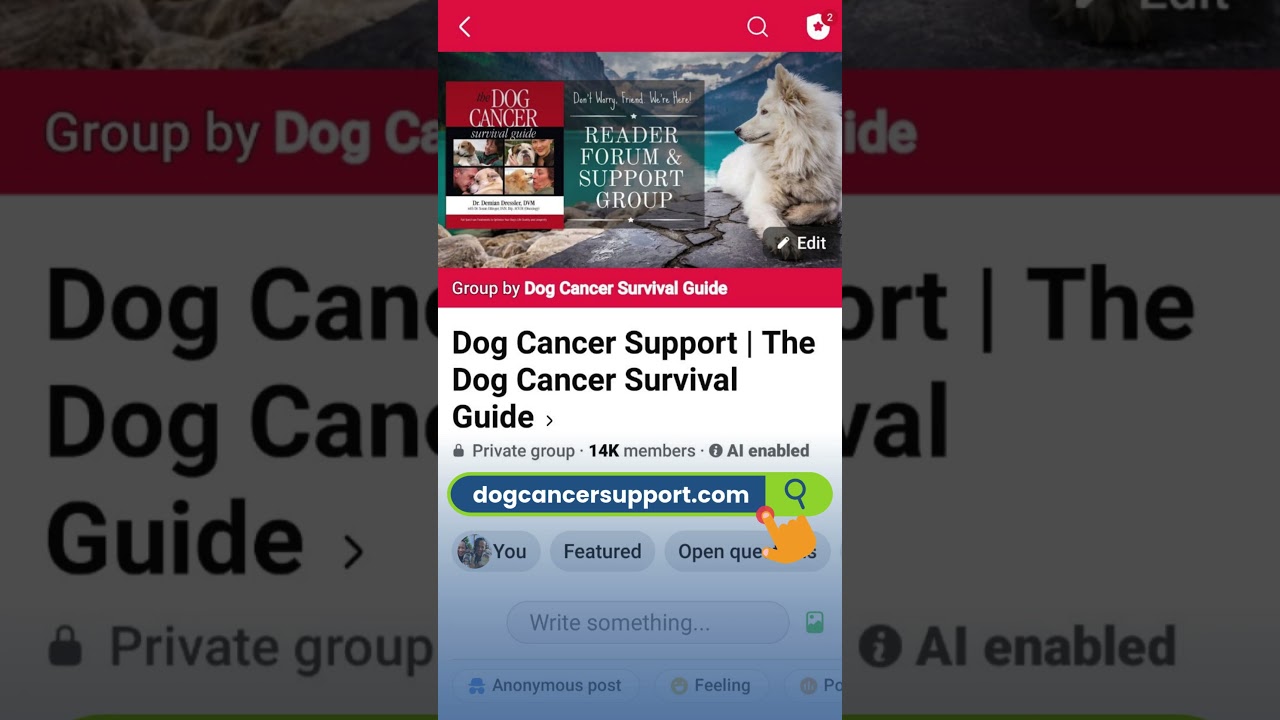 Dog Cancer Support Group