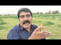 رسائل خاصة للشباب