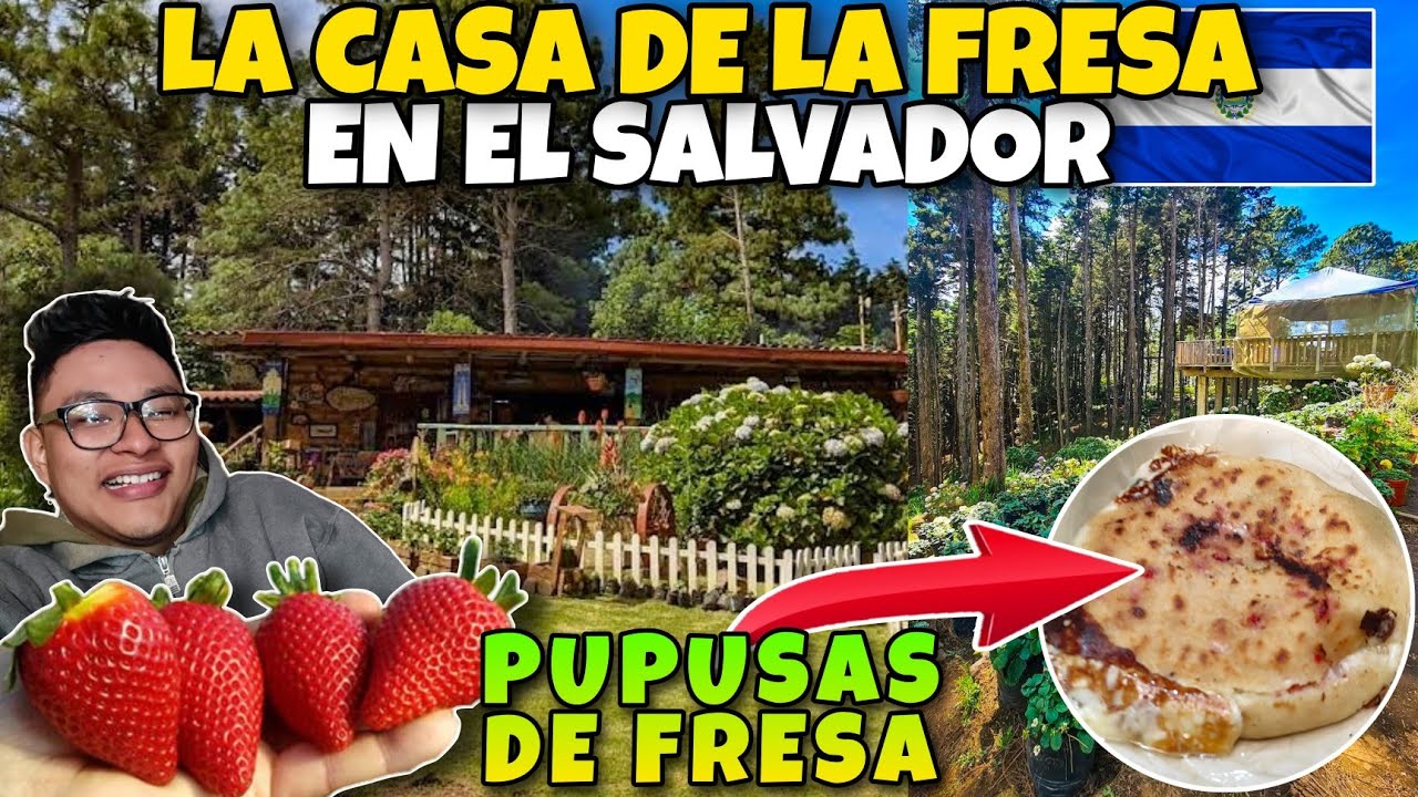 Como Se Dice Fresa En El Salvador www.youtube.com