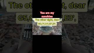 You are my sunshine -  Christina Perri #shorts #kalimbatabs  #highlights #foryou