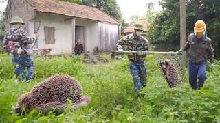 HELP: 80-Year-Old Woman Live Alone In An Ancient House Which Was Infested By A Hedgehog |Clean It Up