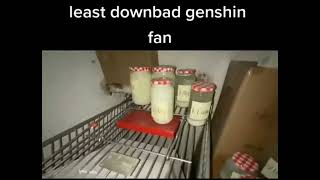 Least downbad Genshin fan meme