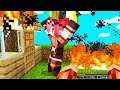 HO BRUCIATO IL MONDO DELLA BIG VANILLA SU MINECRAFT ITA!!