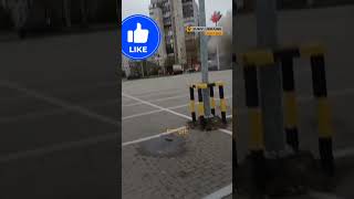 Russia Targets Ukrainian Cities in Fresh Drone and Missile Assault #russia #ukraine #attack #news