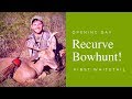 Bowhunting deer with a recurve tradlife