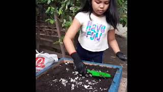 Composting for Kids #Science4