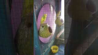 fvxg xn har xxxftgsmdhlebdhdbggdjsbdgjebsjekehiendbsjdkjfjkdndjdjejhdhshsbhsjebsgejbehejdjhdhdjeb