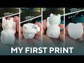 I assembled a 3D printer from scratch and everything went wrong immediately