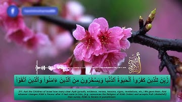 الربع 1|الحزب 4- بصوت أبو بكر الشبراوي (سورة البقرة)من 203 الى218